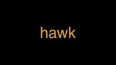 Meaning of Hawk in Hindi - हिंदी में मतलब | Wrytin