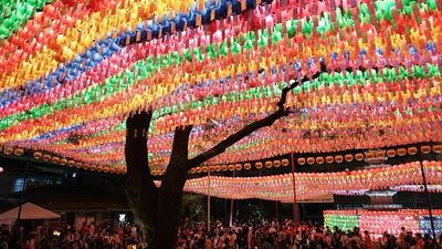 Some Festivals You Will Only Experience In South Korea | Wrytin