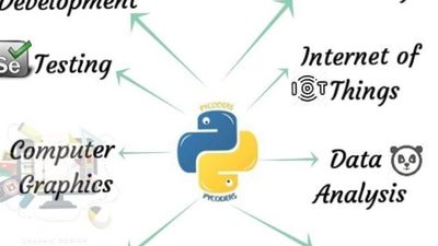 Importance Of Python!!! | Wrytin