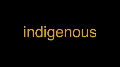 Meaning of Indigenous in Hindi - हिंदी में मतलब | Wrytin