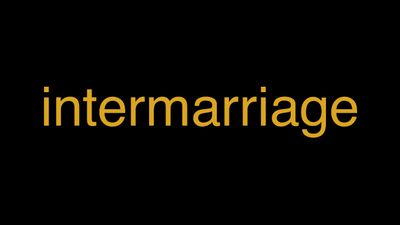 Meaning of Intermarriage in Hindi - हिंदी में मतलब | Wrytin