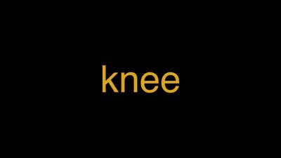 Meaning of Knee in Hindi - हिंदी में मतलब | Wrytin