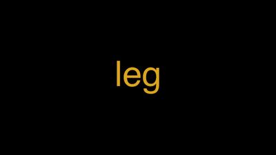 Meaning of Leg in Hindi - हिंदी में मतलब | Wrytin