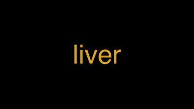 Meaning of Liver in Hindi - हिंदी में मतलब | Wrytin