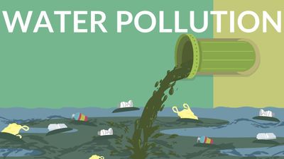 Water Pollution | Wrytin