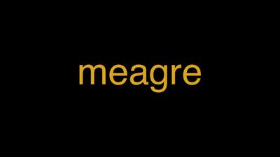 Meaning of Meagre in Hindi - हिंदी में मतलब | Wrytin