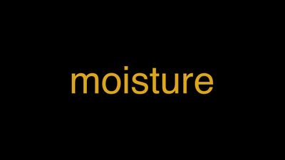 Meaning of Moisture in Hindi - हिंदी में मतलब | Wrytin