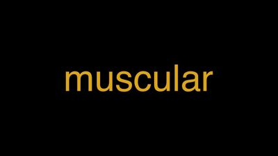 Meaning of Muscular in Hindi - हिंदी में मतलब | Wrytin