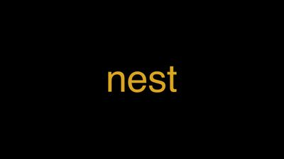 Meaning of Nest in Hindi - हिंदी में मतलब | Wrytin