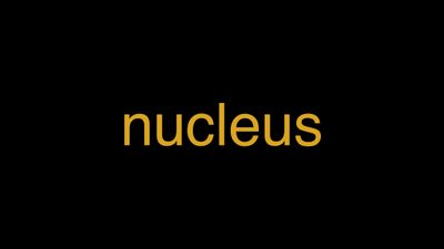 devoid of nucleus meaning in hindi with example