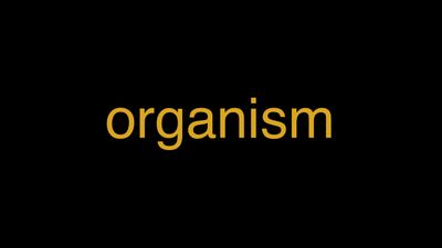 Meaning of Organism in Hindi - हिंदी में मतलब | Wrytin