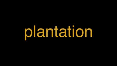 Meaning of Plantation in Hindi - हिंदी में मतलब | Wrytin