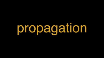 Meaning of Propagation in Hindi - हिंदी में मतलब | Wrytin