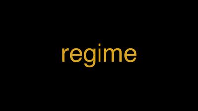 Meaning of Regime in Hindi - हिंदी में मतलब | Wrytin