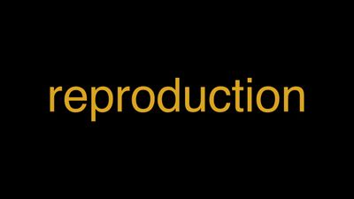 Reproduction visual data 5