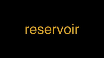Meaning of Reservoir in Hindi - हिंदी में मतलब | Wrytin
