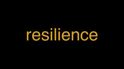 Meaning of Resilience in Hindi - हिंदी में मतलब | Wrytin