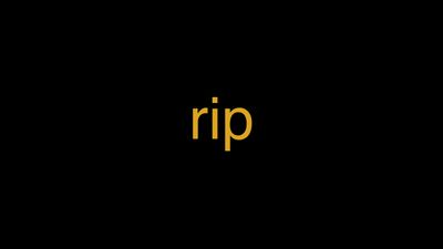 Meaning of Rip in Hindi - हिंदी में मतलब | Wrytin