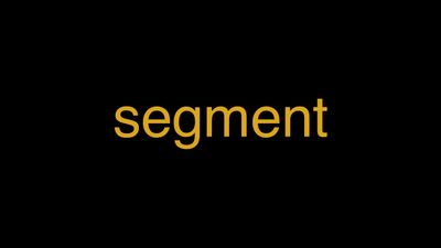 Meaning of Segment in Hindi - हिंदी में मतलब | Wrytin
