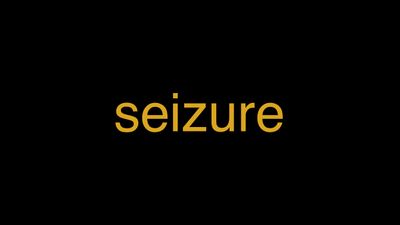 Meaning of Seizure in Hindi - हिंदी में मतलब | Wrytin