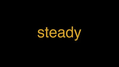 Meaning of Steady in Hindi - हिंदी में मतलब | Wrytin