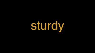 Meaning of Sturdy in Hindi - हिंदी में मतलब | Wrytin