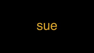 Meaning of Sue in Hindi - हिंदी में मतलब | Wrytin