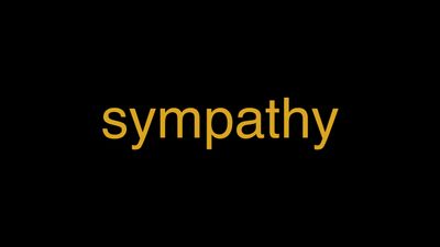 Meaning of Sympathy in Hindi - हिंदी में मतलब | Wrytin