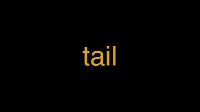 Meaning of Tail in Hindi - हिंदी में मतलब | Wrytin