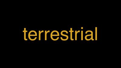 Meaning of Terrestrial in Hindi - हिंदी में मतलब | Wrytin