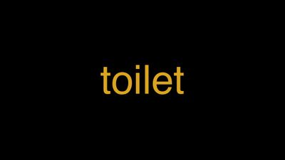 Meaning of Toilet in Hindi - हिंदी में मतलब | Wrytin
