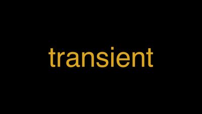 Meaning of Transient in Hindi - हिंदी में मतलब | Wrytin