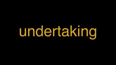 Meaning of Undertaking in Hindi - हिंदी में मतलब | Wrytin