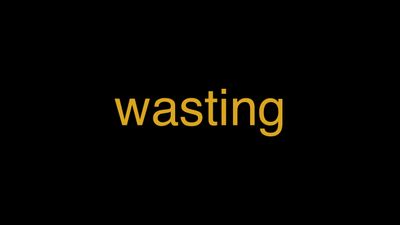 Meaning of Wasting in Hindi - हिंदी में मतलब | Wrytin