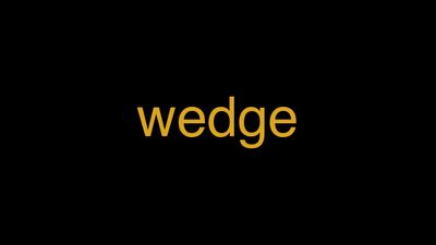 Meaning of Wedge in Hindi - हिंदी में मतलब | Wrytin
