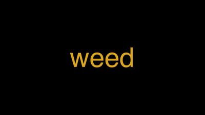 Meaning of Weed in Hindi - हिंदी में मतलब | Wrytin