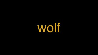 Meaning of Wolf in Hindi - हिंदी में मतलब | Wrytin