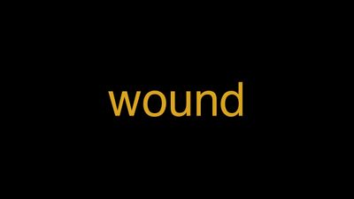 Meaning of Wound in Hindi - हिंदी में मतलब | Wrytin