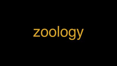 Meaning of Zoology in Hindi - हिंदी में मतलब | Wrytin