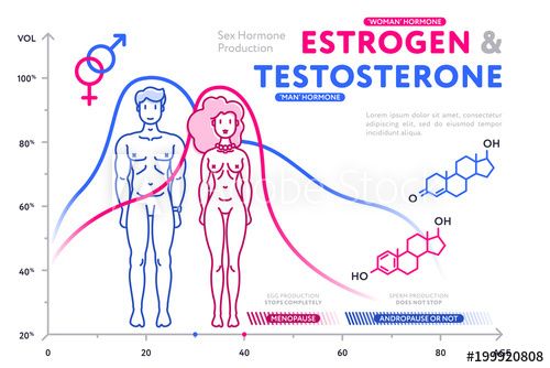Normal Testosterone And Estrogen Levels In Women Wrytin