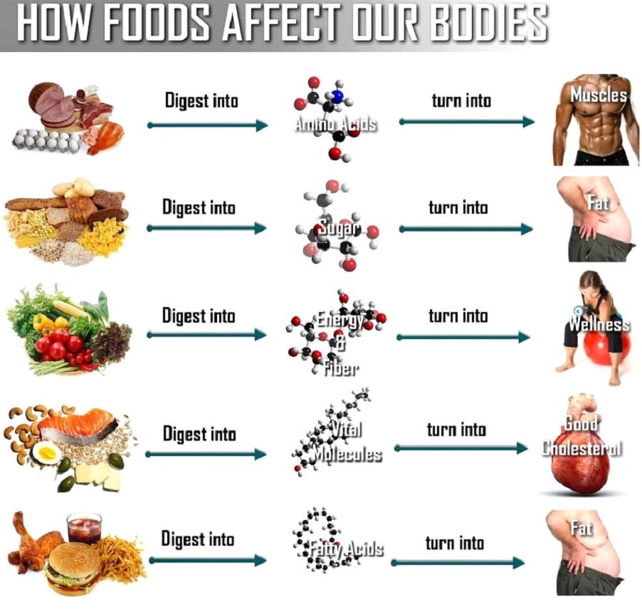 healthy-food-vs-junk-food-wrytin