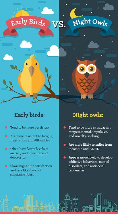 Are You A Morning Person Or A Night Owl Wrytin