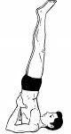 सर्वांगासन-sarvangasana-80x150-k06bwzqb